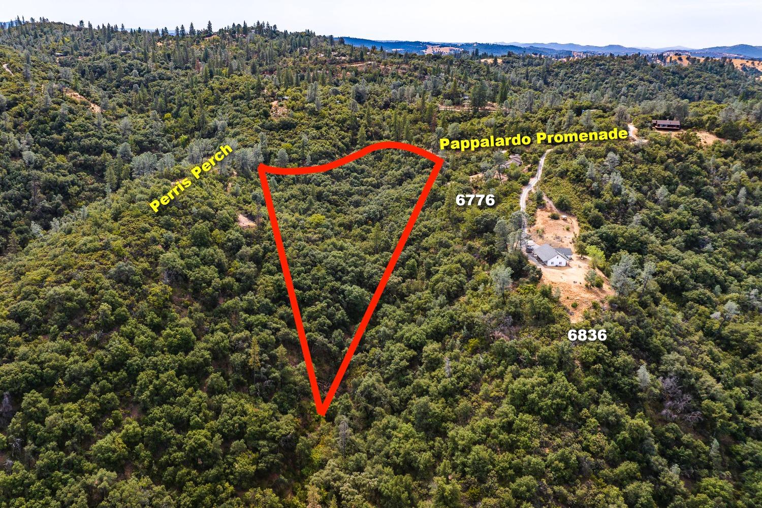 6652 Pappalardo Promenade Murphys, CA 95247 - Photo 23 of 31 a view of a outdoor space