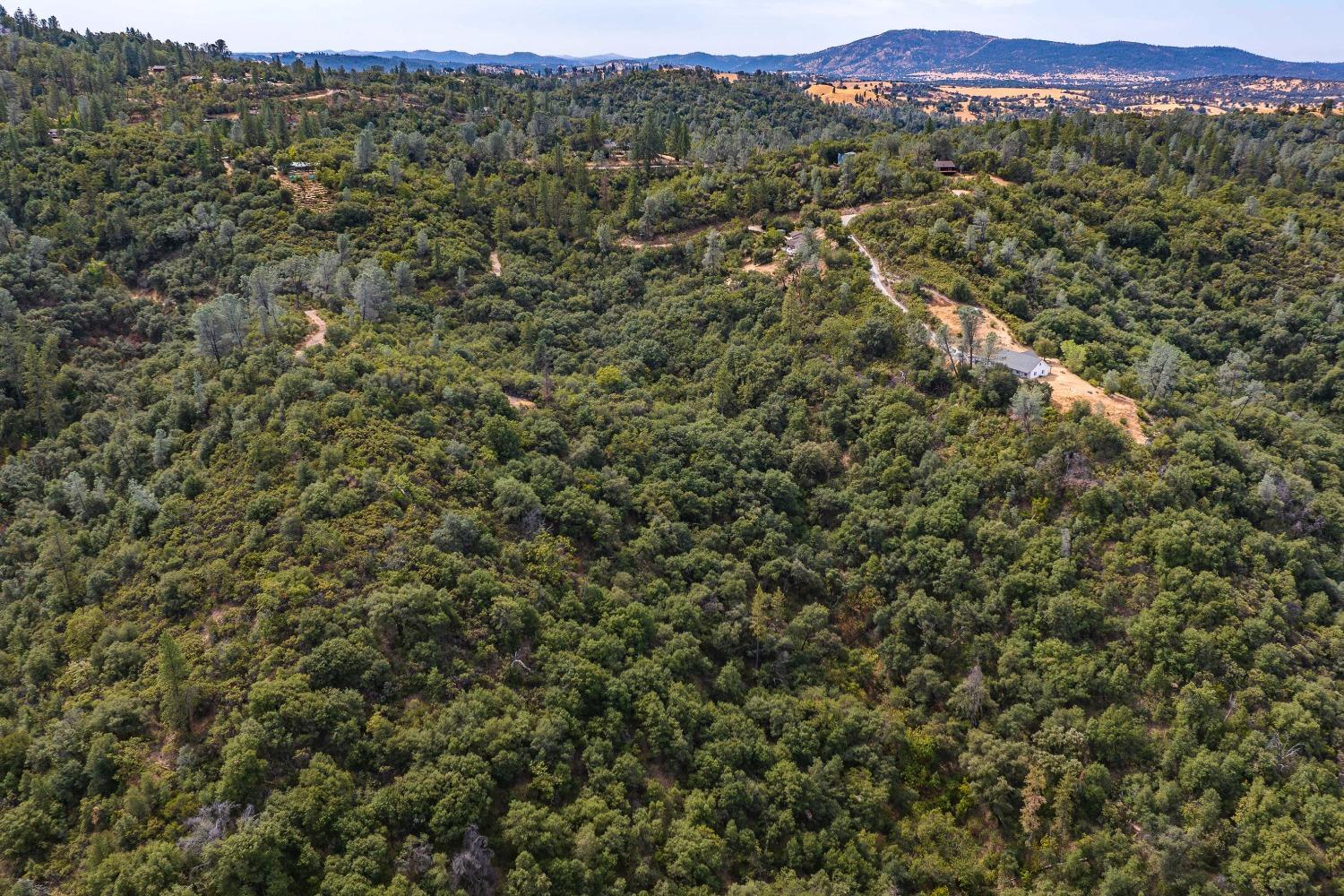 6652 Pappalardo Promenade Murphys, CA 95247 - Photo 24 of 31 a view of a mountain in the distance in a field
