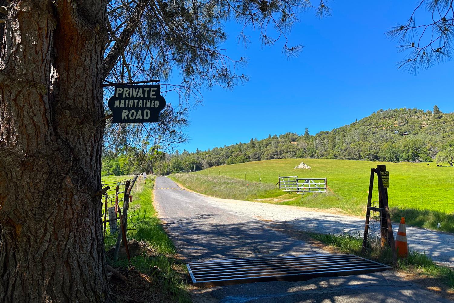 6652 Pappalardo Promenade Murphys, CA 95247 - Photo 31 of 31 a view of a swimming pool with a yard
