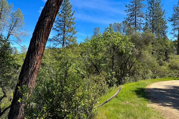 a view of a pathway with a park