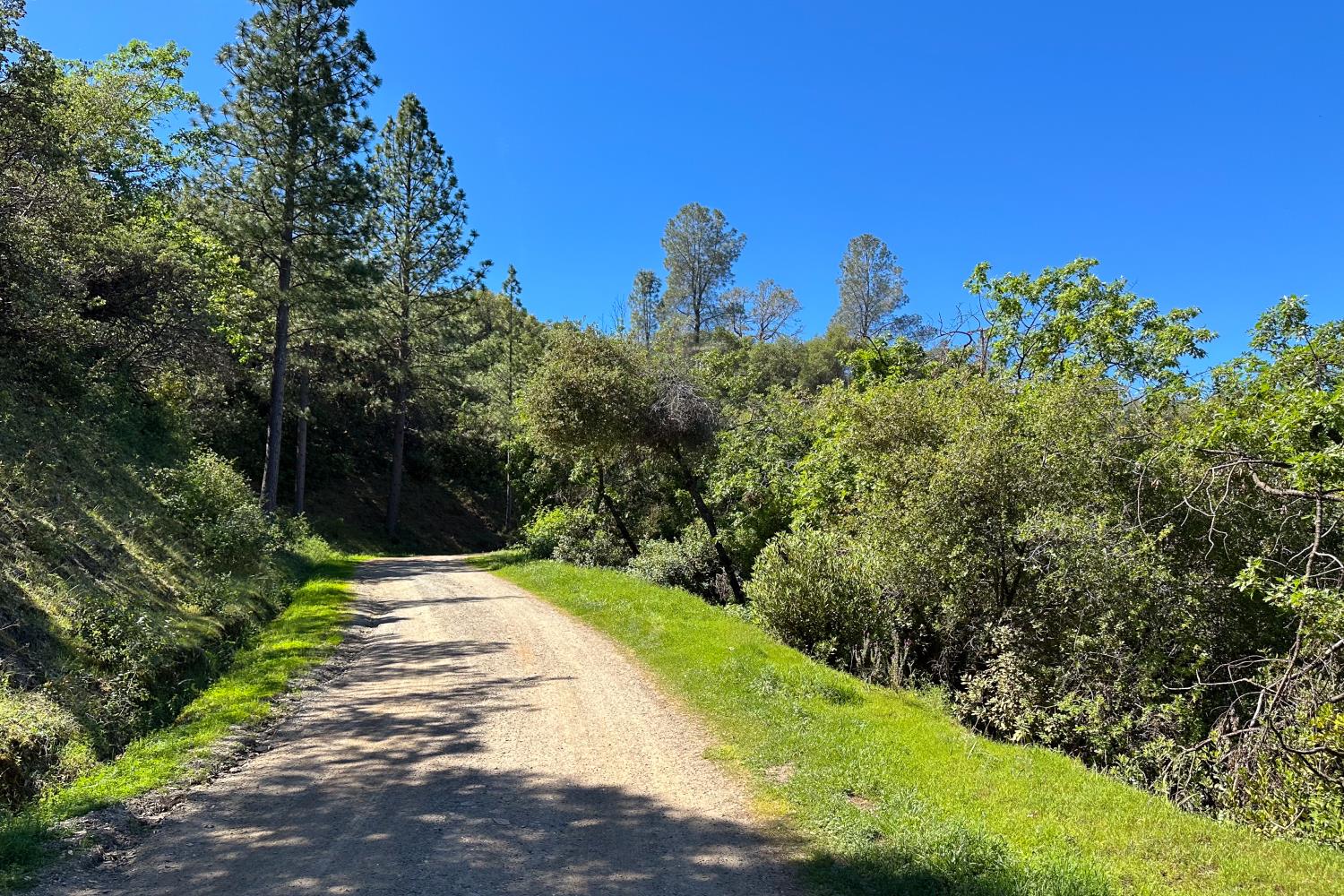 6652 Pappalardo Promenade Murphys, CA 95247 - Photo 7 of 31 a view of a pathway with a park