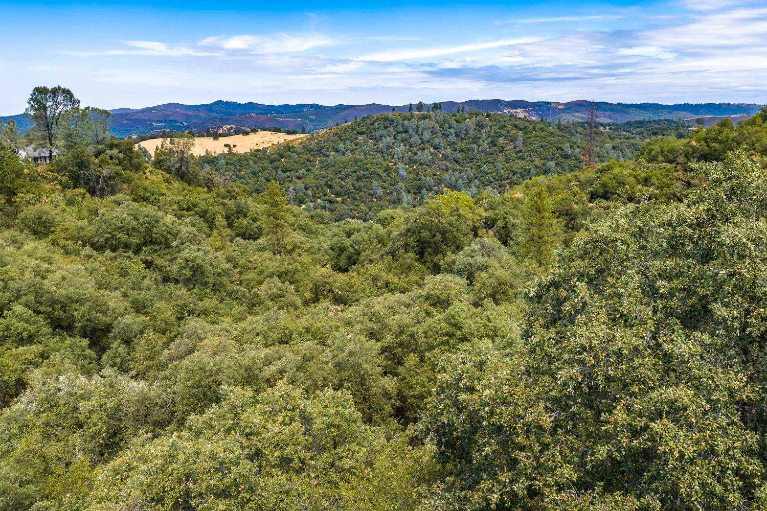 6652 Pappalardo Promenade Murphys, CA 95247 - Photo 9 of 11