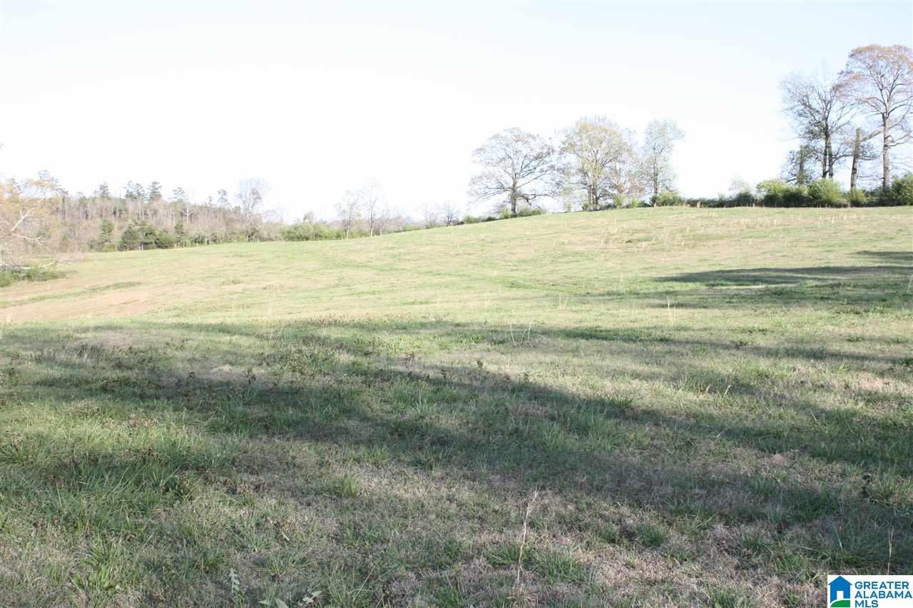 11506 Stemley Road Lincoln, AL 35096 - Photo 18 of 21