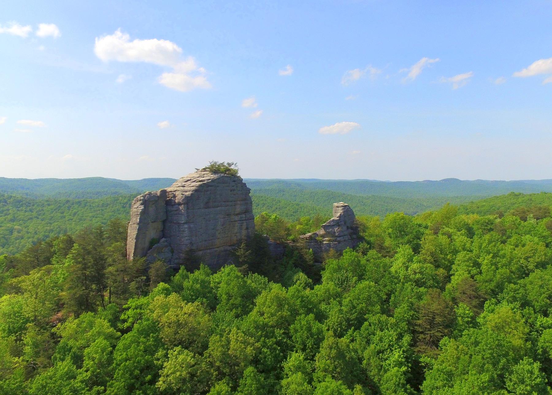 3534 Lizzie Sharp Pall Mall, TN 38577 - Photo 2 of 27 a view of a houses