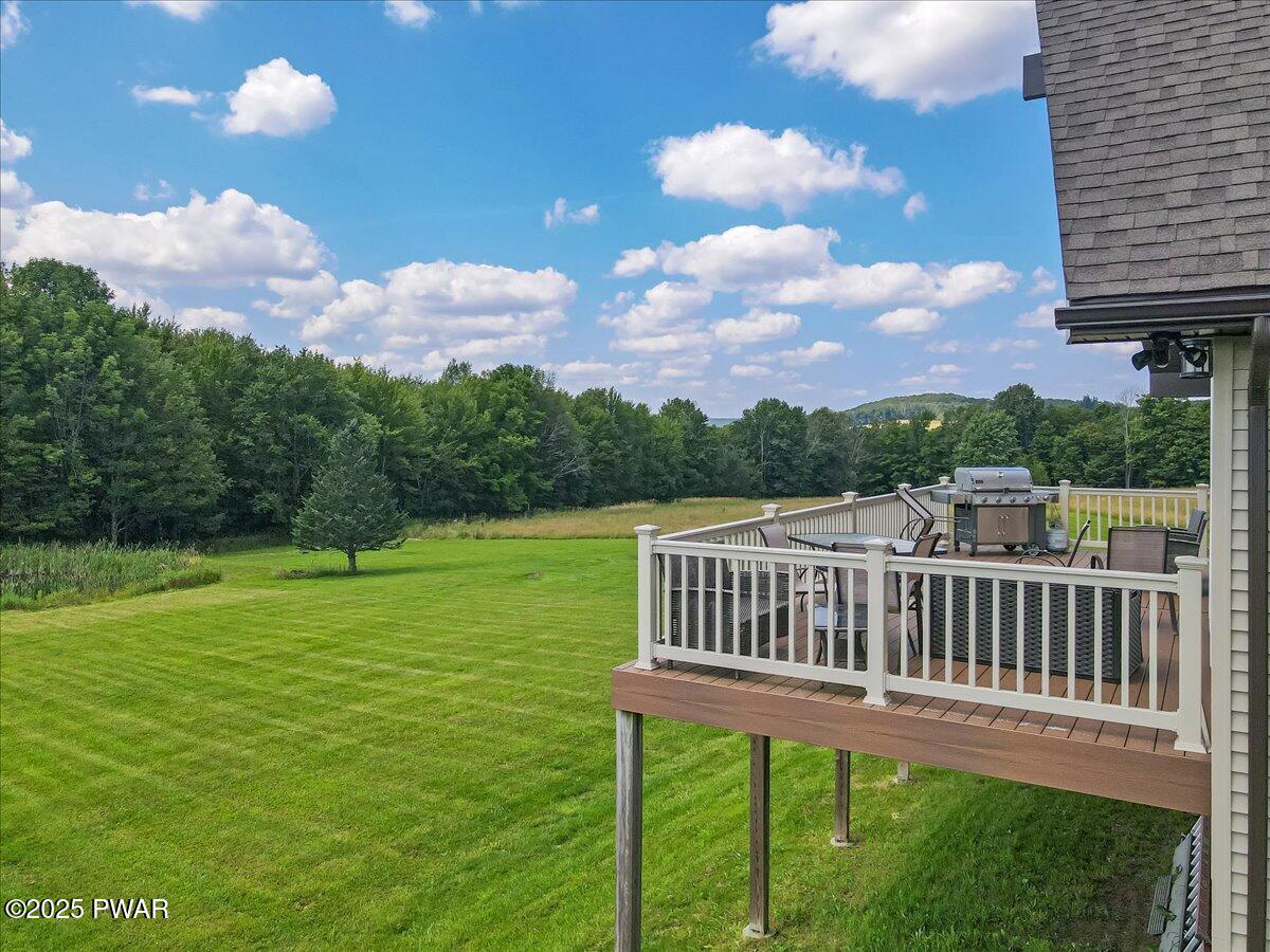 259 Ayoub Road Pleasant Mount, PA 18453 - Photo 99 of 144