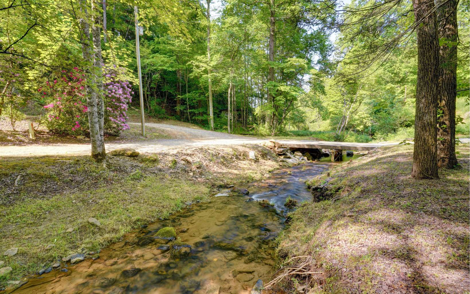 60 Buckeye Branch Road Morganton, GA 30560 - Photo 17 of 21 a backyard of a house with lots of green space