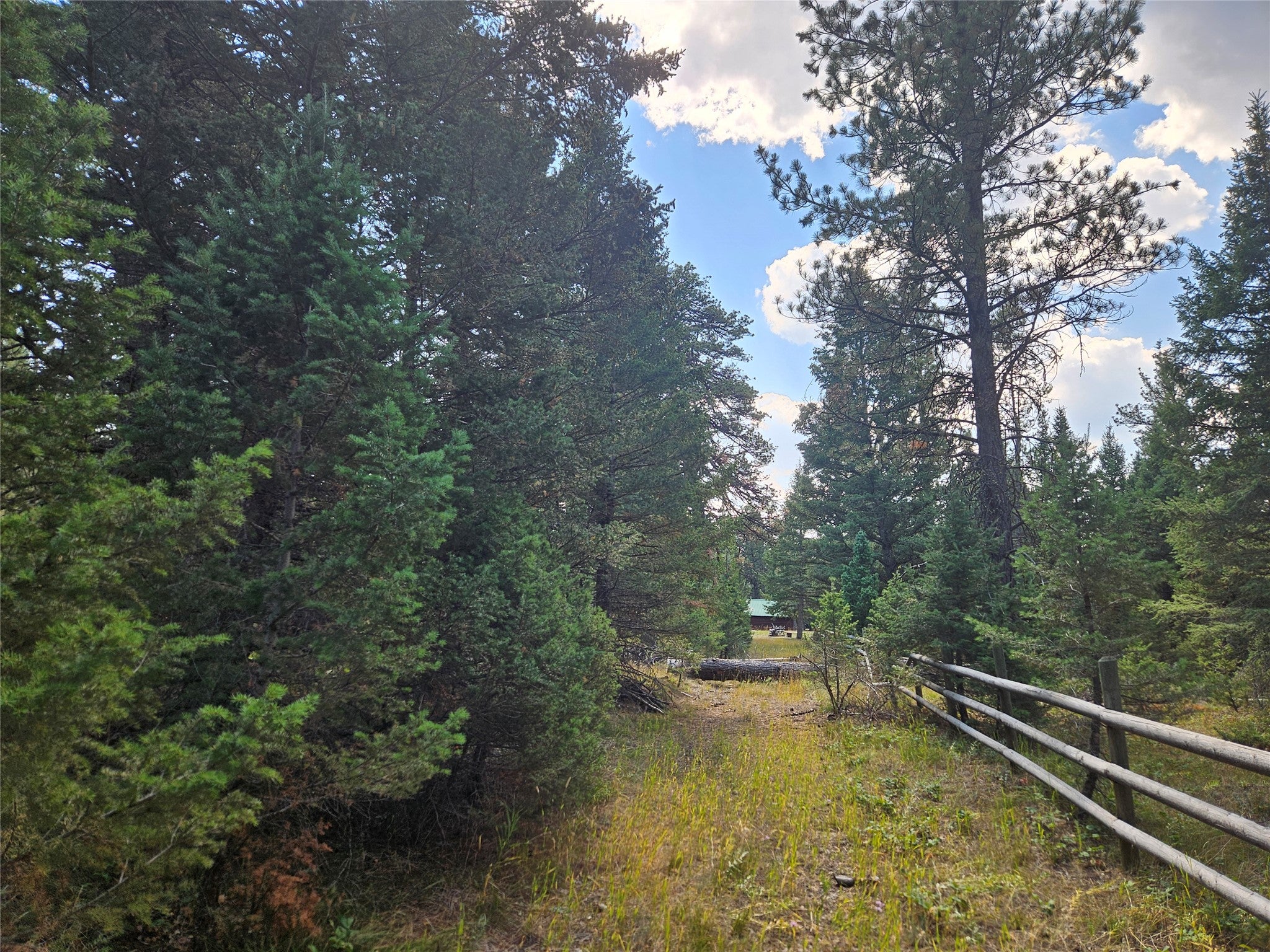 8880 Elk Trail Loop Lincoln, MT 59639 - Photo 43 of 55 Gallery Image 43