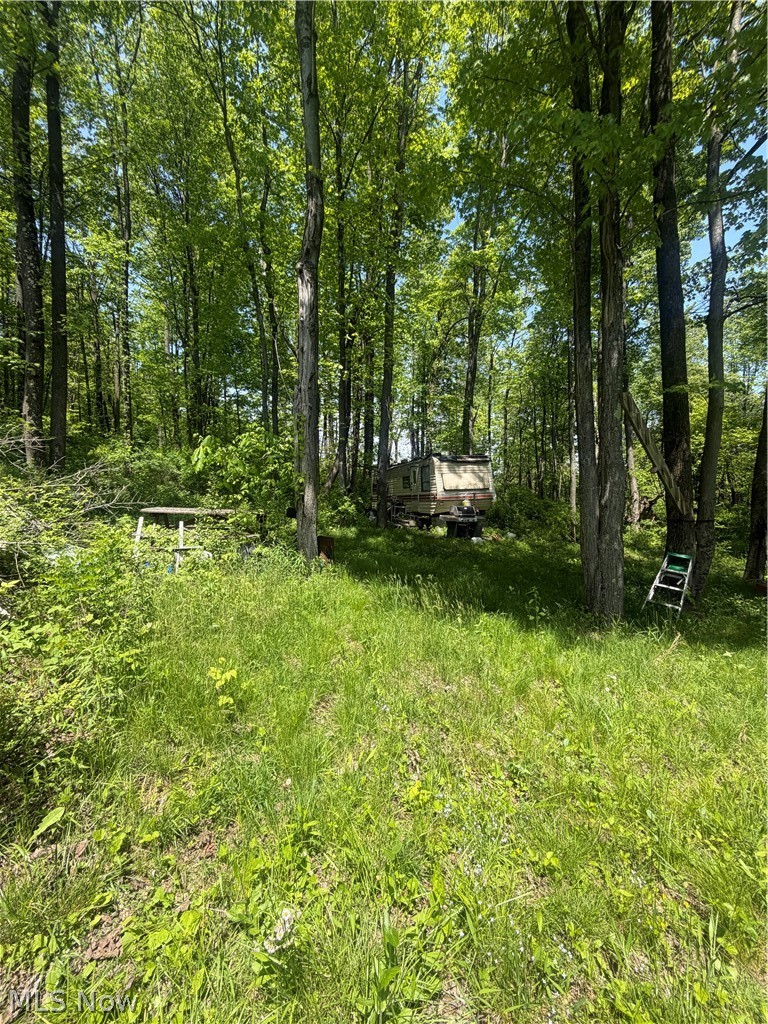 Southeast Robinhood Road Southeast Dennison, OH 44621 - Photo 2 of 7