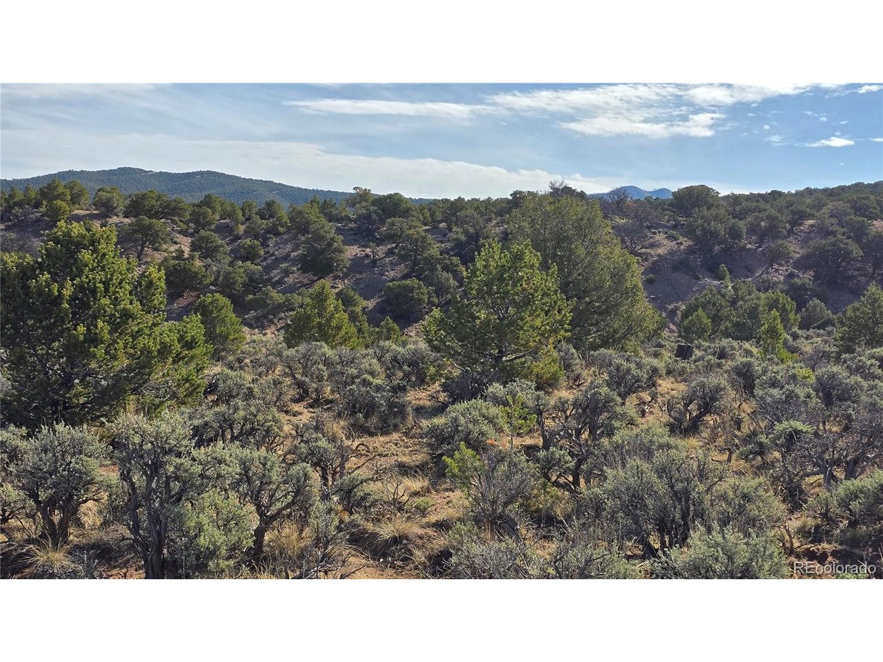 7340 Sweany Road Fort Garland, CO 81133 - Photo 24 of 31