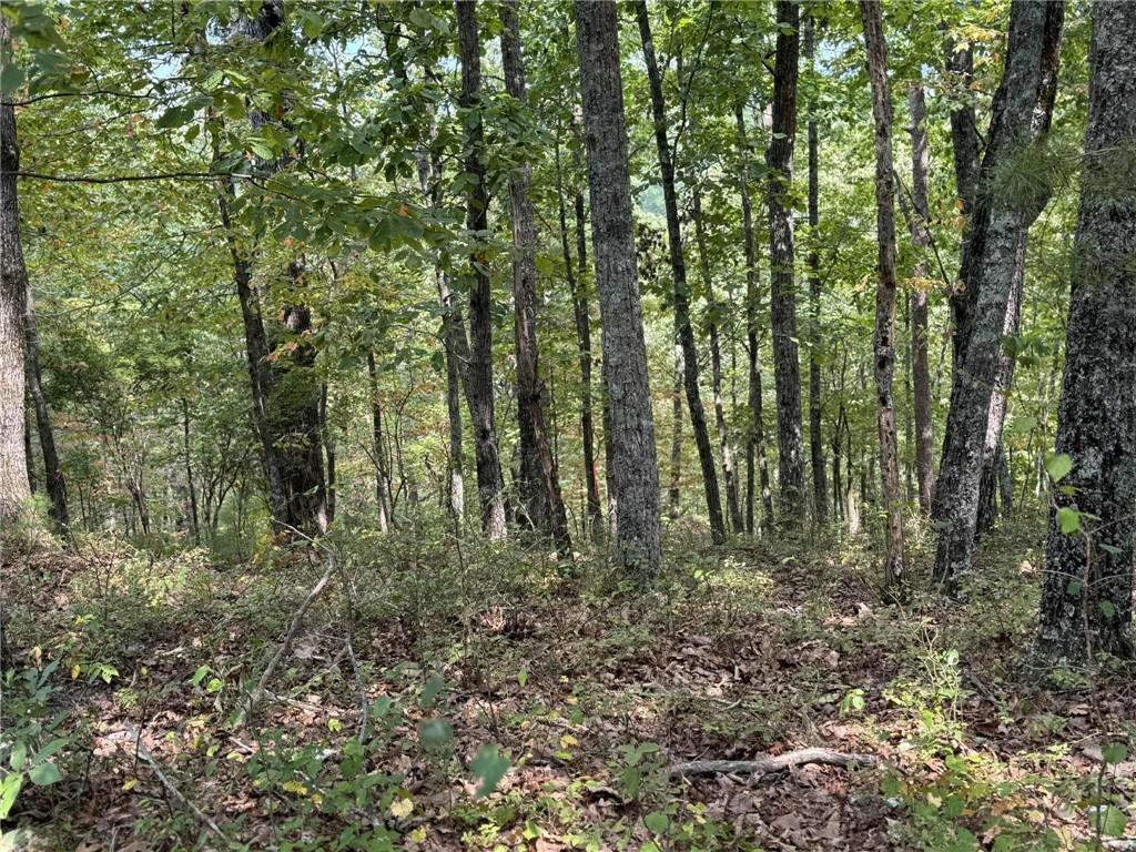 1417 Foxhound Trail Northeast Ranger, GA 30734 - Photo 6 of 21 a view of outdoor space and green space