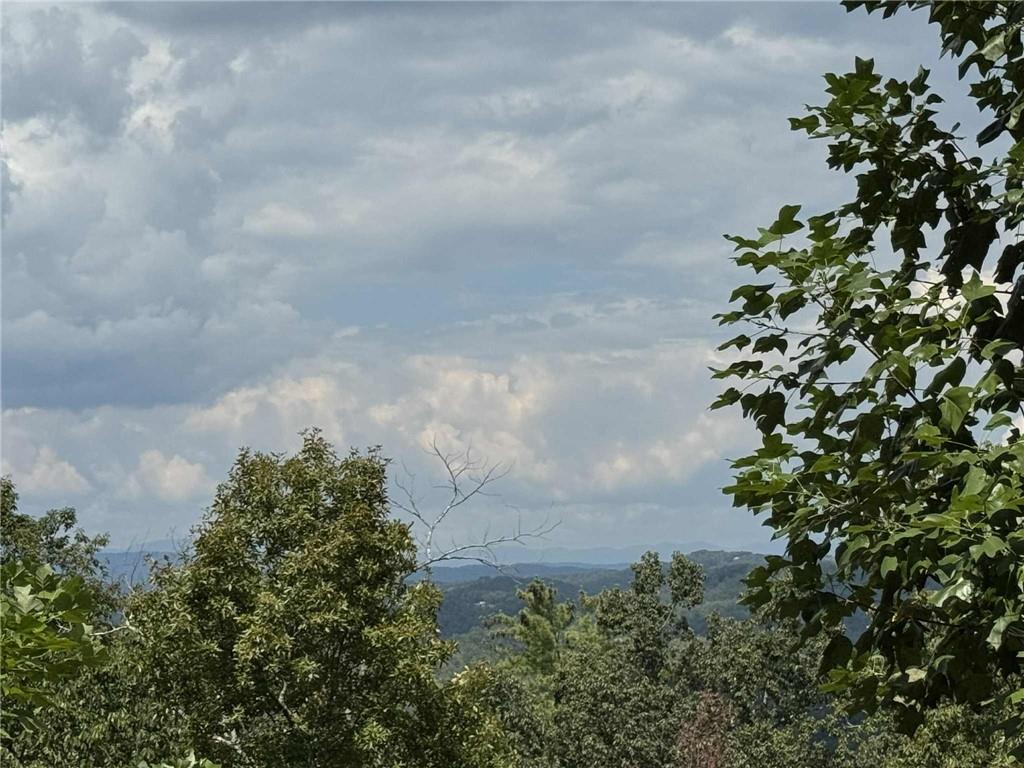 1417 Foxhound Trail Northeast Ranger, GA 30734 - Photo 7 of 21 a close up of a plant