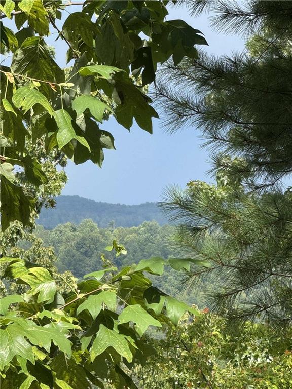 1417 Foxhound Trail Northeast Ranger, GA 30734 - Photo 8 of 21 a view of a bunch of flowers