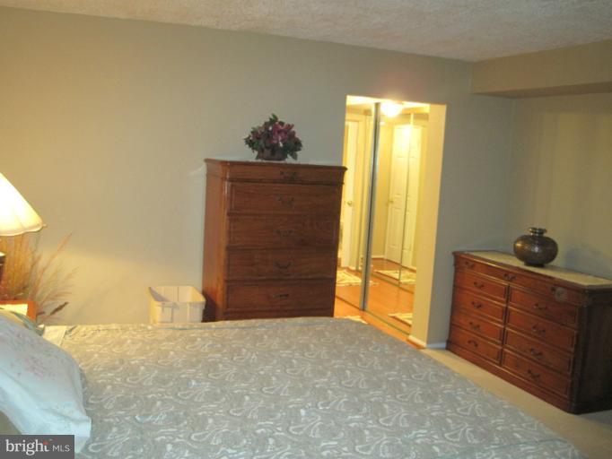 6101 Edsall Road, Unit 409 Alexandria, VA 22304 - Photo 24 of 25 Bedroom (Master)