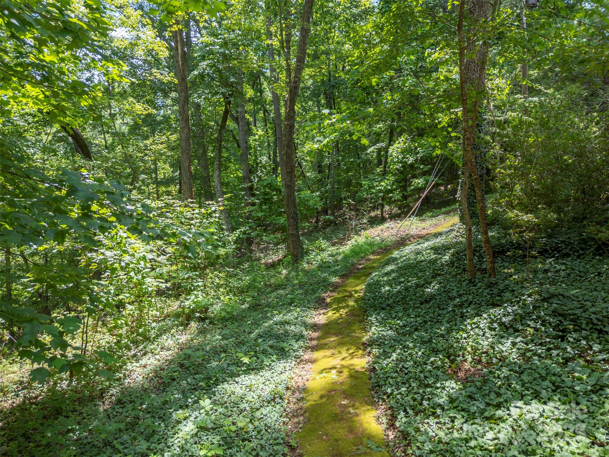 467 Winners Circle Tryon, NC 28782 - Photo 37 of 39