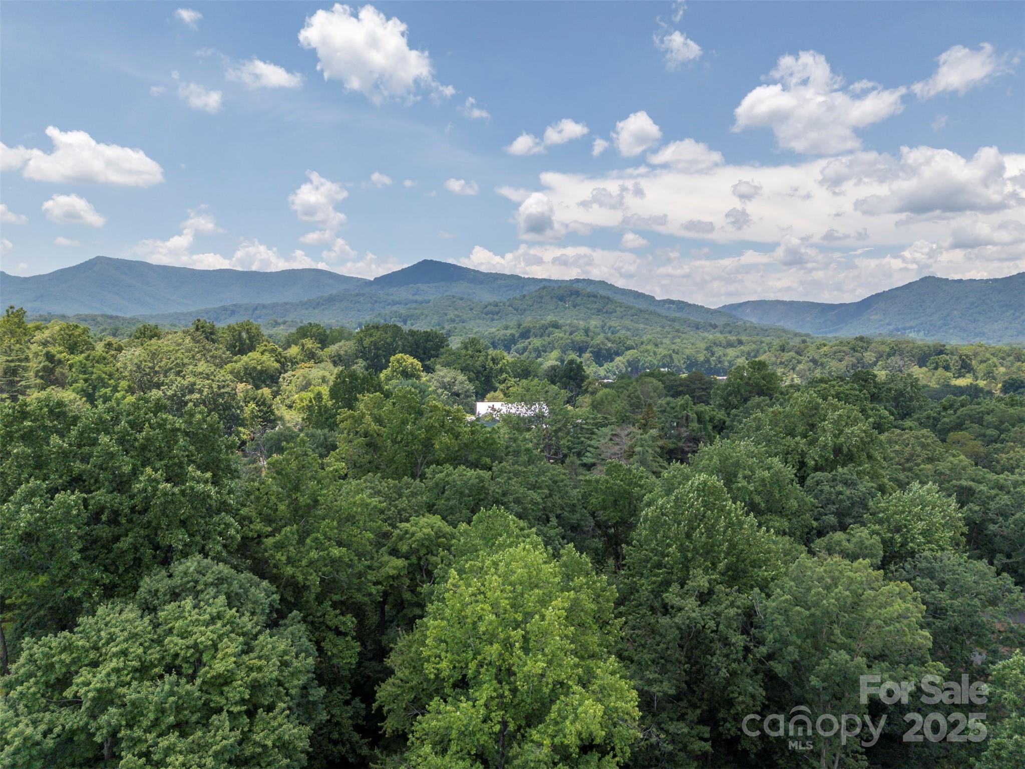 467 Winners Circle Tryon, NC 28782 - Photo 39 of 39