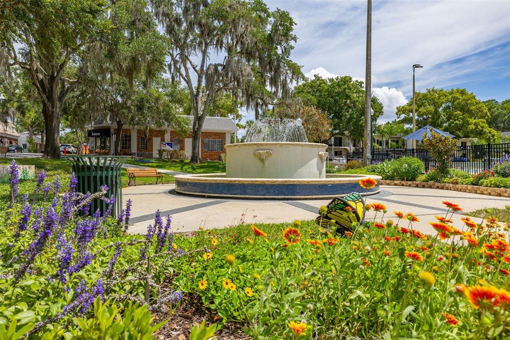 367 August Fern Loop Mount Dora, FL 32757 - Photo 60 of 90
