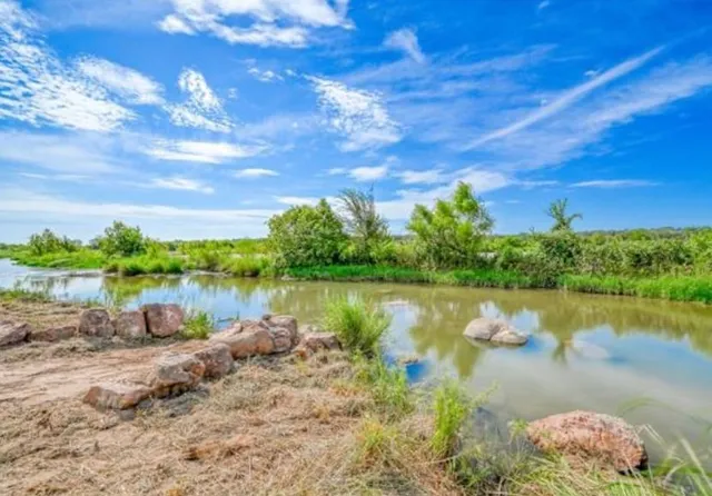 a view of backyard with swimming pool