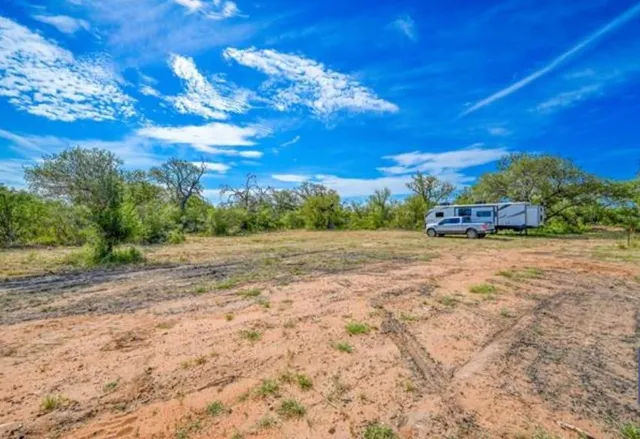 a view of a yard with a tree