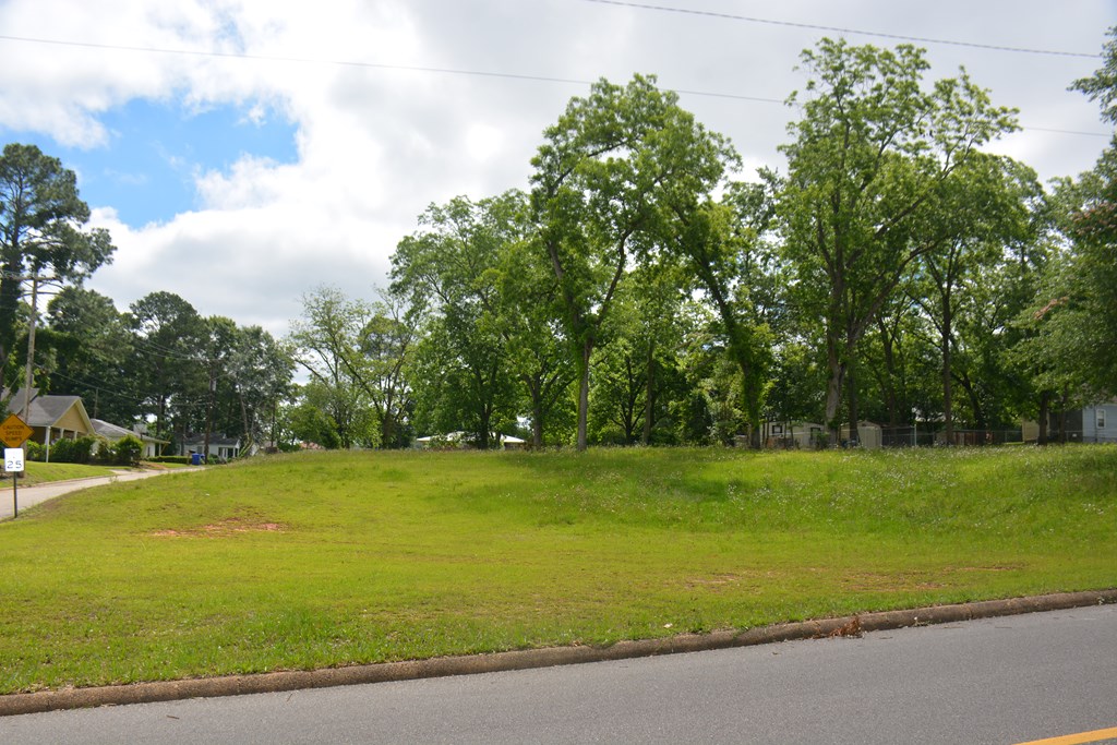 200 Banks Street Troy, AL 36081 - Photo 2 of 6