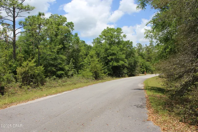 $35,000 | Lot 17 Arnone Lane, Chipley, FL 32428