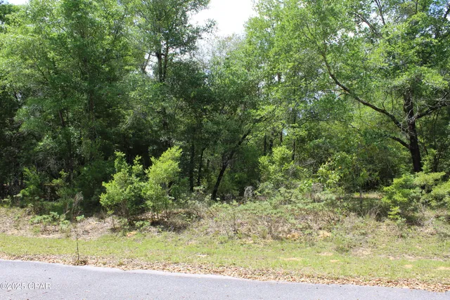 $35,000 | Lot 17 Arnone Lane, Chipley, FL 32428