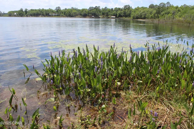 $35,000 | Lot 17 Arnone Lane, Chipley, FL 32428