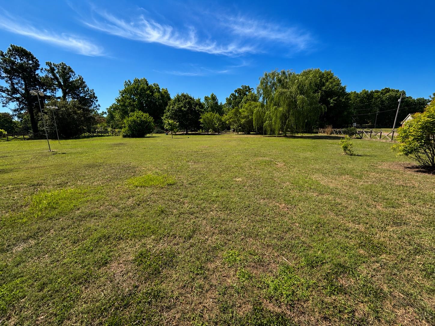 1946 Little John Road Millington, TN 38053 - Photo 18 of 20 Expansive green lawn providing ample open space