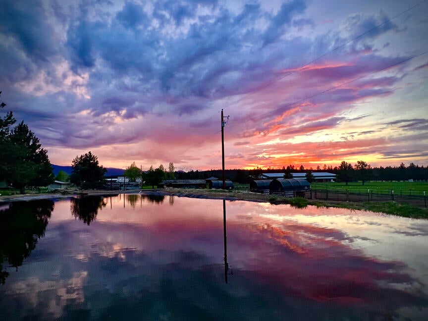 18425 Pinehurst Road Bend, OR 97703 - Photo 9 of 21 Pond at Sunset