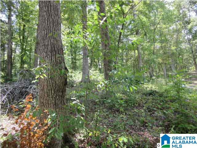 115 County Road 1068, Unit 2 Verbena, AL 36091 - Photo 5 of 12