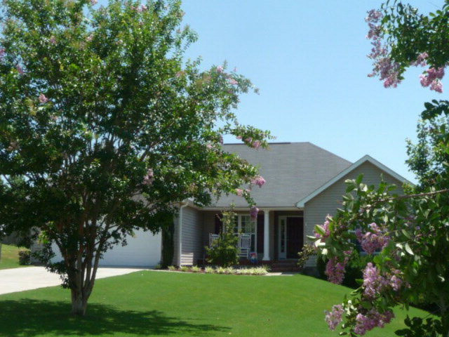 1087 Oxpens Road Warrenville, SC 29851 - Photo 1 of 26 Main View