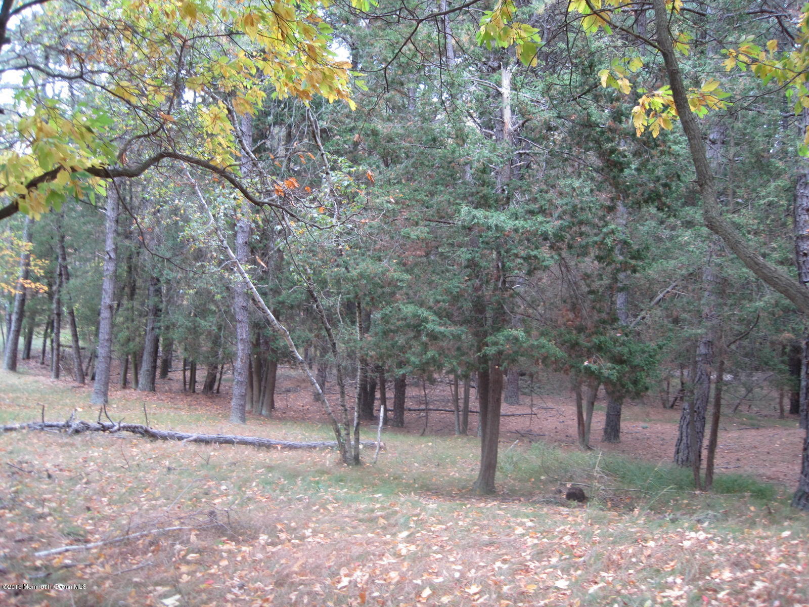 13 Ashley Road Manchester Township, NJ 08759 - Photo 24 of 25 18-Commnon-Perserved Land