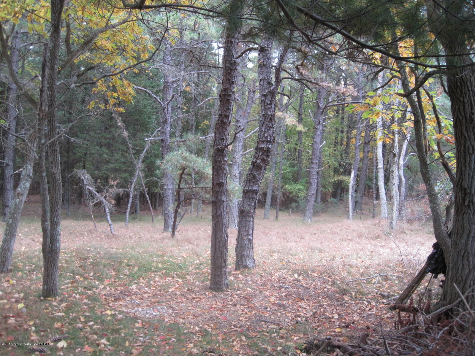 13 Ashley Road Manchester Township, NJ 08759 - Photo 25 of 25 Common-Perserved Land