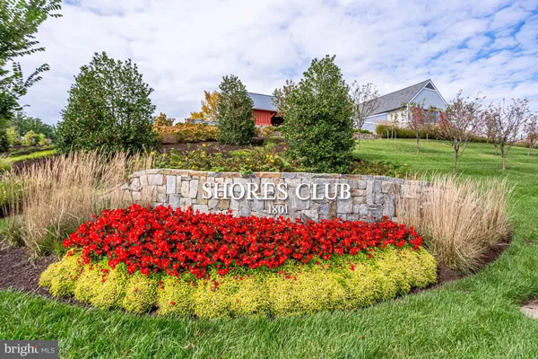 a view of a house with a big yard and a large tree