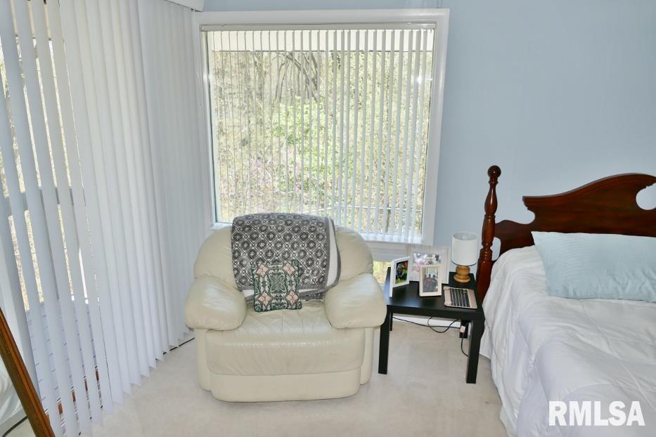 9131 North Picture Ridge Road Peoria, IL 61615 - Photo 39 of 49 Gallery Image 39