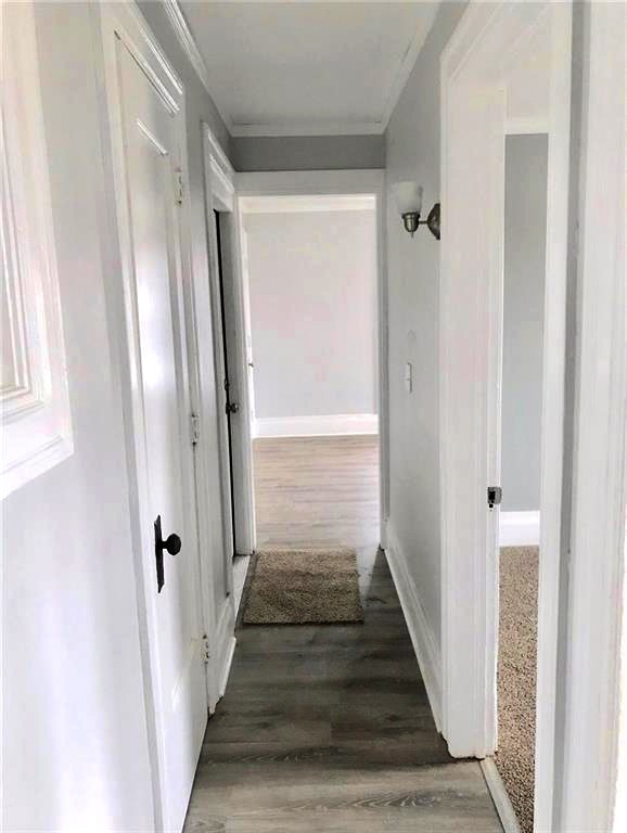 729 South Avenue Rochester, NY 14620 - Photo 6 of 9