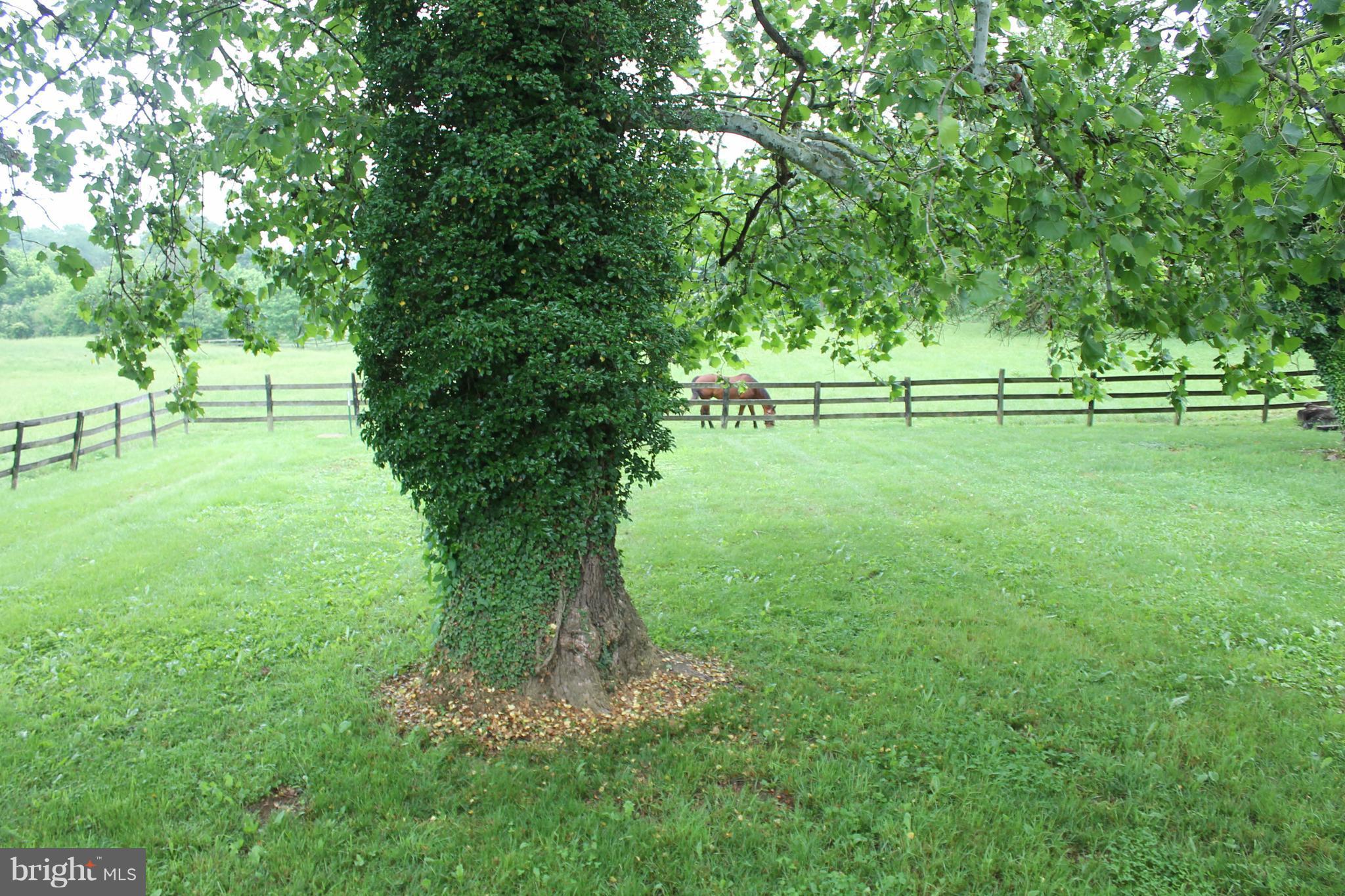 4186 Winchester Road Marshall, VA 20115 - Photo 2 of 16 View