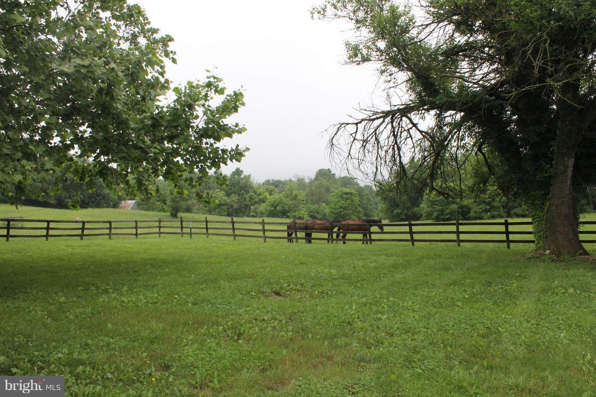 4186 Winchester Road Marshall, VA 20115 - Photo 8 of 16 View