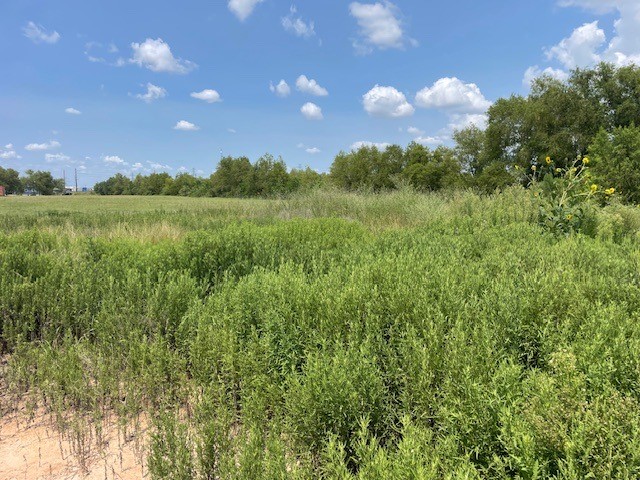 22831 Beckendorff Road Katy, TX 77449 - Photo 6 of 6 a view of a city and lush green forest