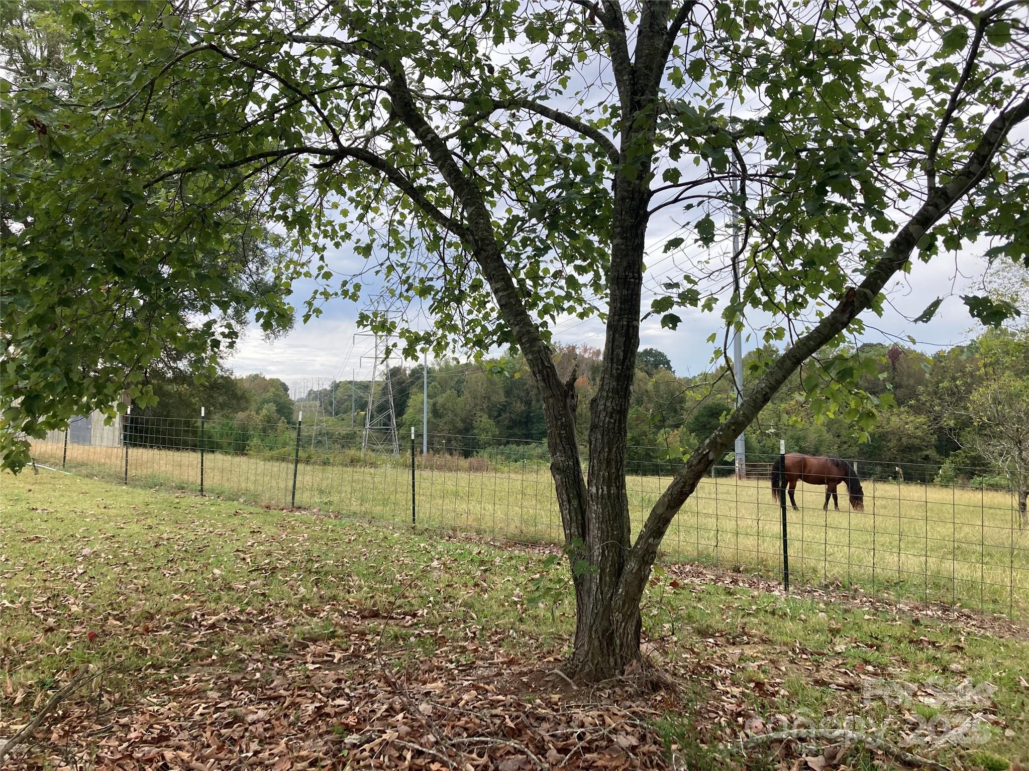 1075 Bostian Road China Grove, NC 28023 - Photo 18 of 25 a view of outdoor space with trees