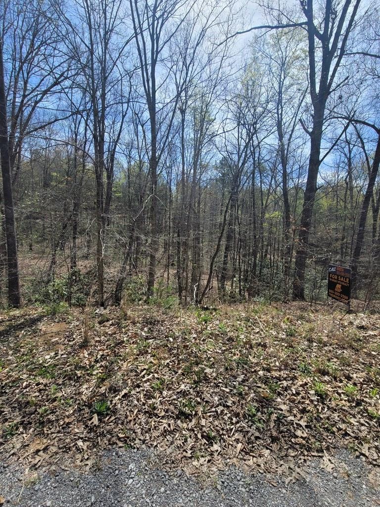 31 Butternut Lane Sevierville, TN 37876 - Photo 18 of 20