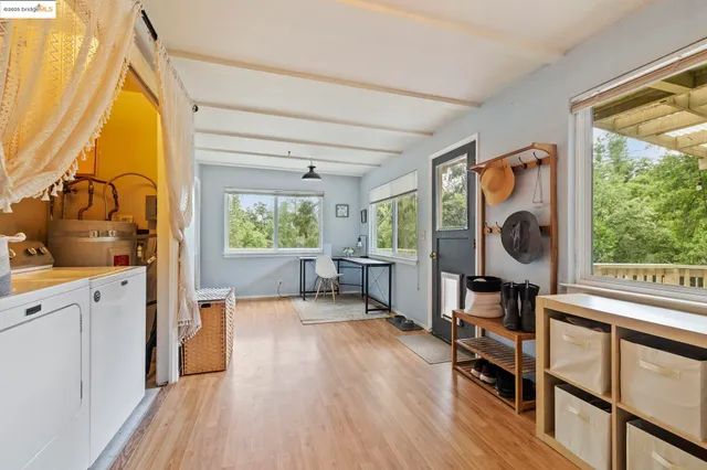 a view of a forest with trees in front of it