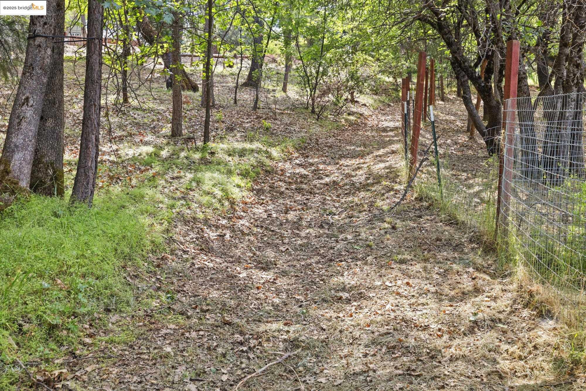 20638 Maranatha Road Tuolumne, CA 95379 - Photo 40 of 60 View of local wilderness