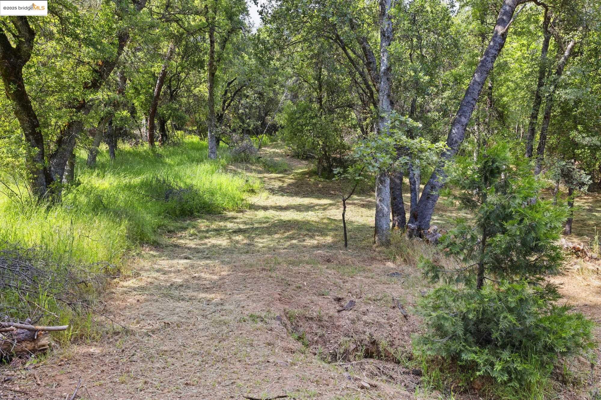 20638 Maranatha Road Tuolumne, CA 95379 - Photo 43 of 60 a big yard with lots of green space and house