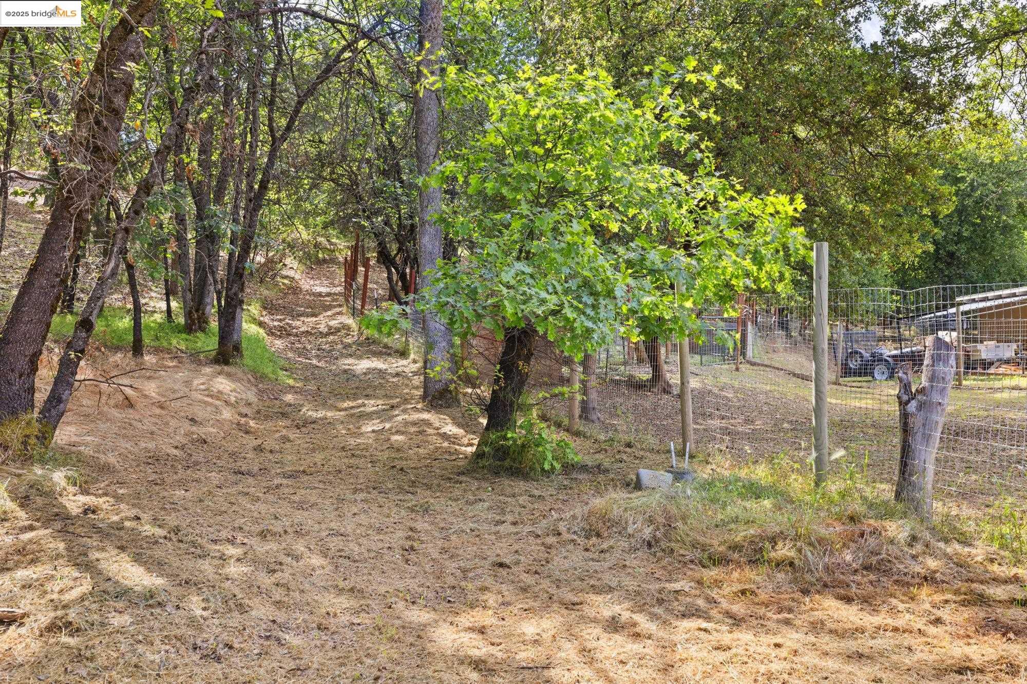 20638 Maranatha Road Tuolumne, CA 95379 - Photo 55 of 60 a backyard of a house with lots of green space