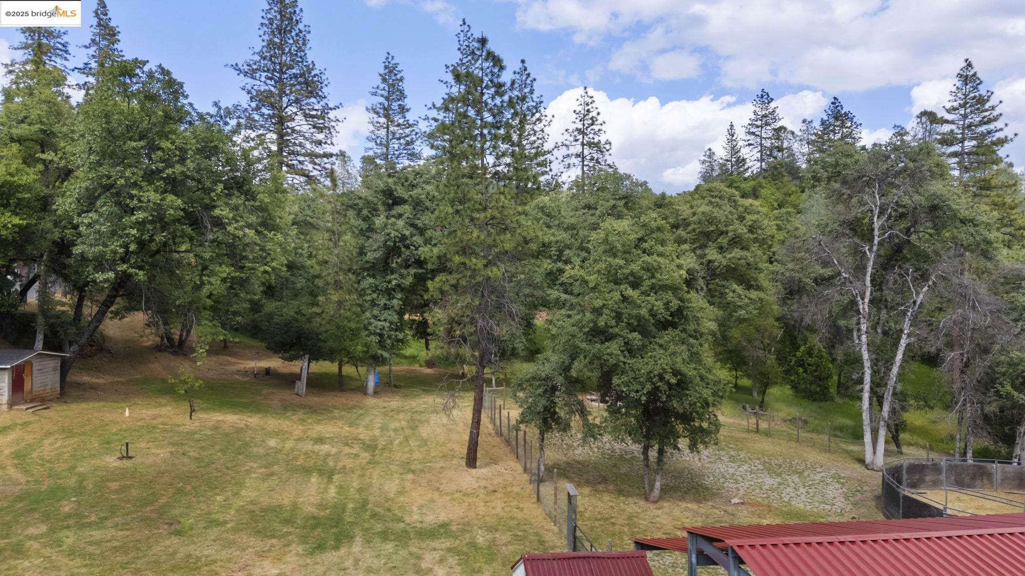 20638 Maranatha Road Tuolumne, CA 95379 - Photo 6 of 60 a view of a yard