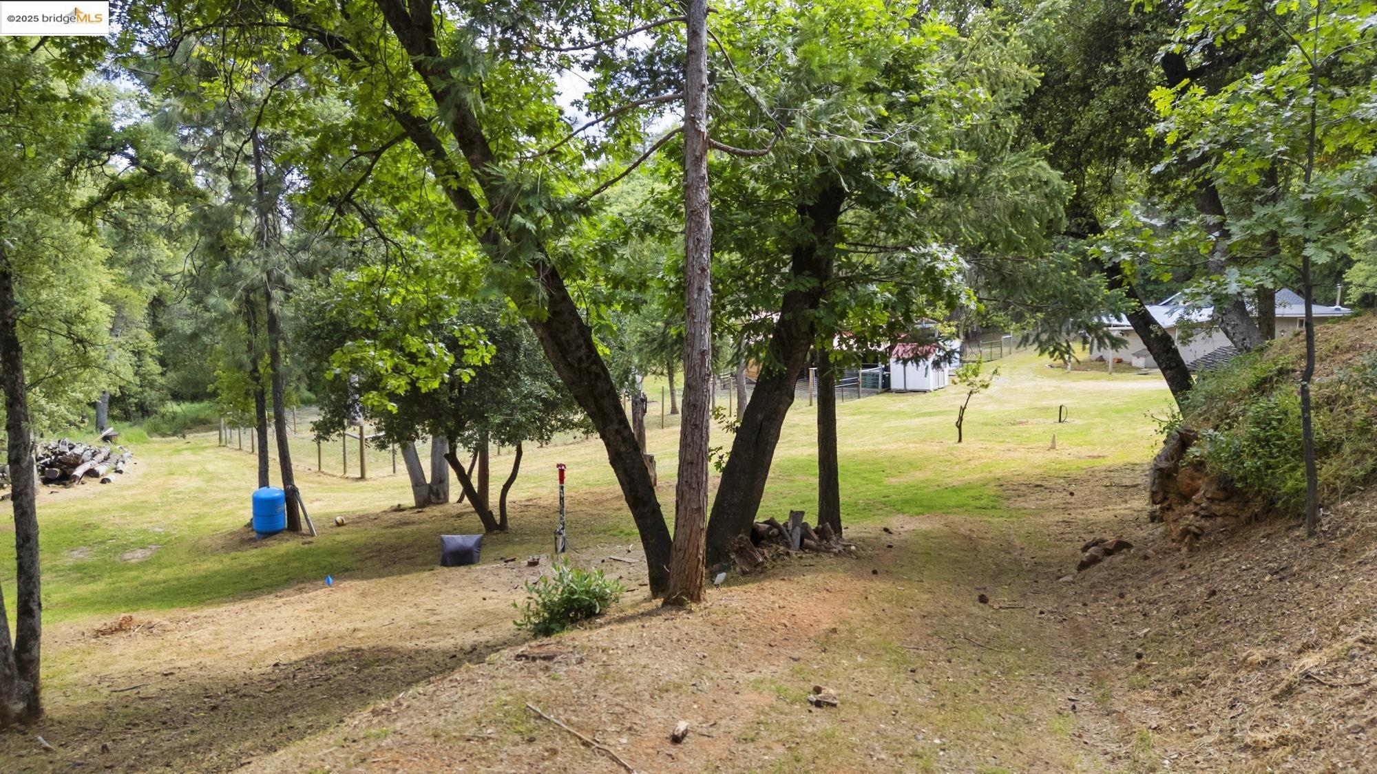 20638 Maranatha Road Tuolumne, CA 95379 - Photo 8 of 60 a view of a yard with a tree