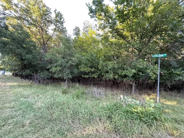 $9,200 | 622 Cypress Drive, May, TX 76857