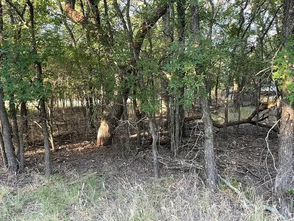 $9,200 | 622 Cypress Drive, May, TX 76857