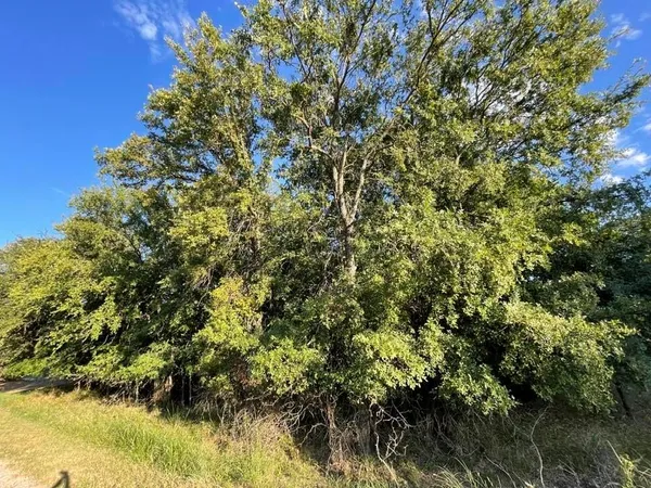 $9,200 | 622 Cypress Drive, May, TX 76857