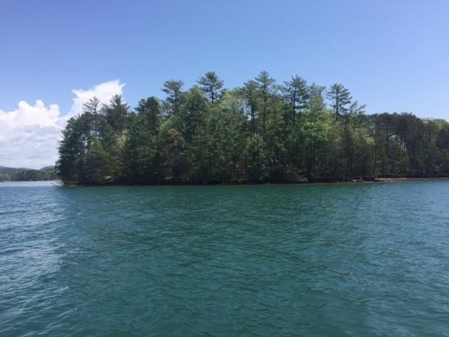 474 Peninsula Ridge, Unit P2 69 Sunset, SC 29685 - Photo 2 of 22 Incredible point lot allowing for 270 degree water